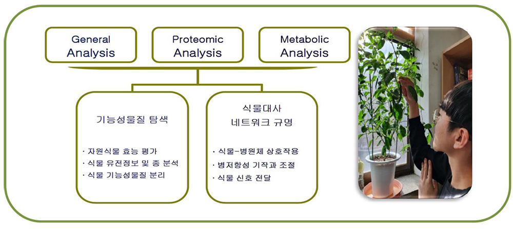  주요 연구분야